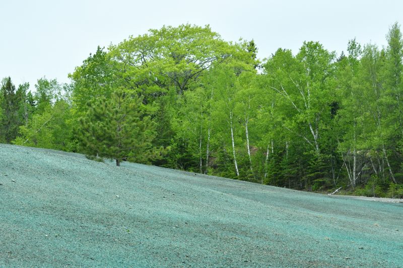 Hill Hydroseeding in Ventura County, CA
