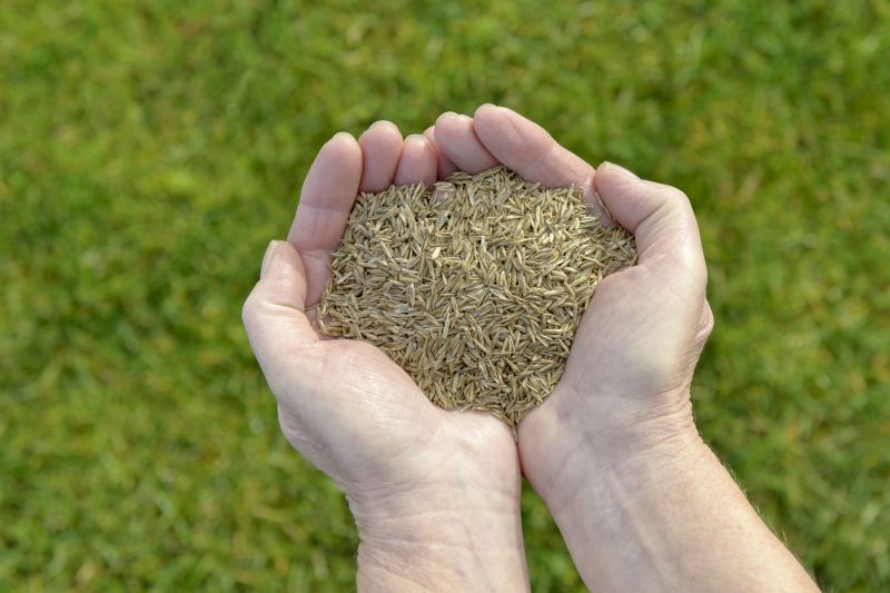 Eco-Friendly Options