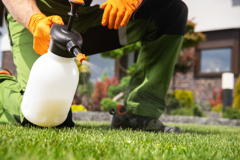 Lawn Disease Treatment in Honolulu, HI