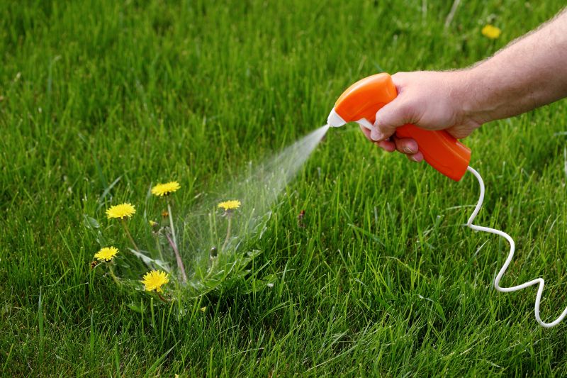 Lawn Herbicide Treatment in Aiken, SC