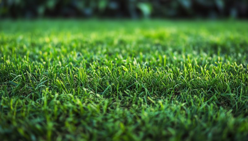 Lawn Installation in Ventura County, CA