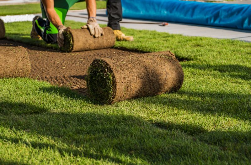 Lawn Sodding in Rockwall, TX