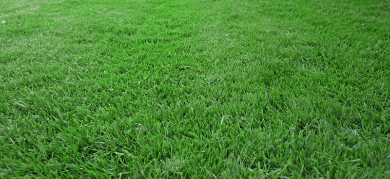 Residential Lawn Seeding in Ventura County, CA