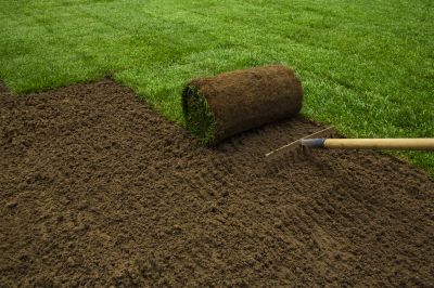 Sod Replacement in Honolulu, HI