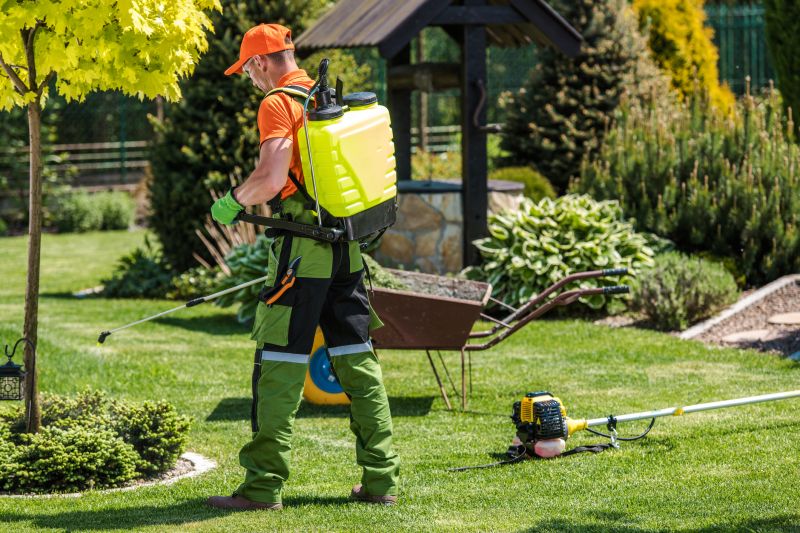 Spring Lawn Treatment in Ventura County, CA