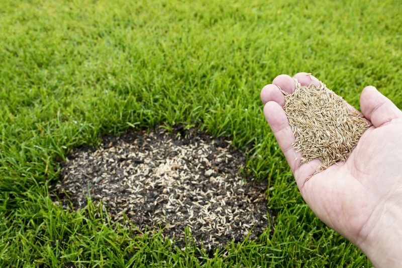 Turf Seeding in Ventura County, CA