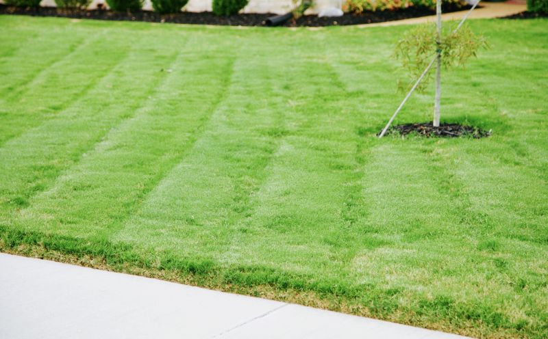 Grass Replacement in Ventura County, CA