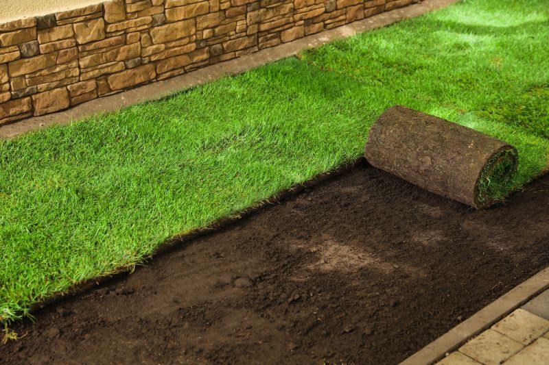 Turfing Service in Honolulu, HI